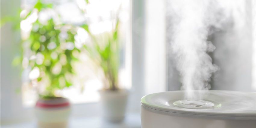 Jak nawilżyć suche powietrze w mieszkaniu?