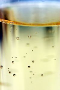 Chemia i fizyka szampana