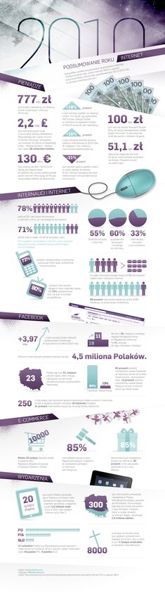 Polski internet 2010 w pigułce - infografika