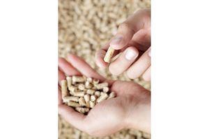 Dlaczego pellet podbił Europę?