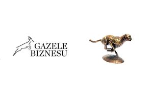 Harmann zgarnia nagrody: Gazele Biznesu oraz Gepard Biznesu.