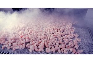 Air Products-Freshline® Superfresh czyli nowe rozwiązanie w branży chłodniczej.