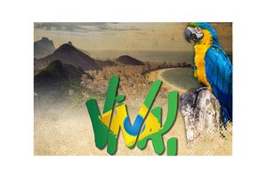 VIVA BRASIL! Już teraz weź udział w nowym programie Fujitsu!