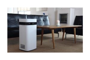 Oczyszczacz powietrza: co warto wiedzieć przed zakupem?