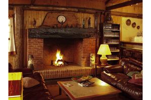 Opał do kominka – jaki będzie najlepszy?