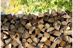 Kaloryczność drewna, czyli jakie drewno na opał wybrać?