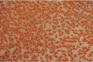 Korozja mikrobiologiczna w instalacjach chłodniczych i klimatyzacyjnych