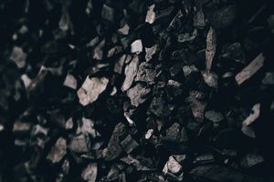 Jaki ekogroszek wybrać?