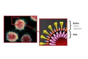 Kolejne technologie do walki z Covid 19