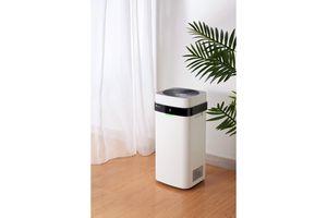 Jak chronić się przed smogiem?