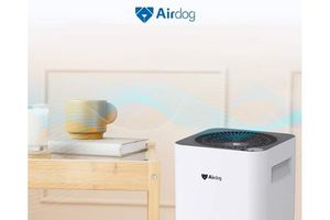 Czyste powietrze w dobie smogu