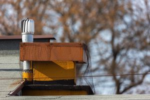 Ptaki w kominie wentylacyjnym