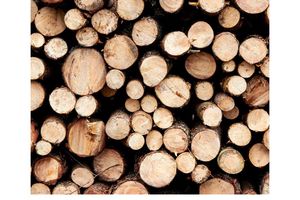 Przemysł drzewny - wysoko wydajne rozwiązania dla ekologicznego suszenia i obróbki drewna