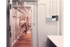 Szacunek dla mięsa i zachowanie jego jakości – rozwiązania Carel dla Antica Macelleria Cecchini