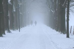 Mróz nie zaskakuje. Zaskakuje, że wciąż nie jesteśmy na niego gotowi