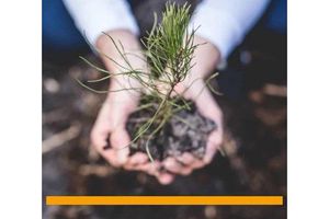 Gebhardt Stahl Polska inauguruje akcję „Wiosna 2026”