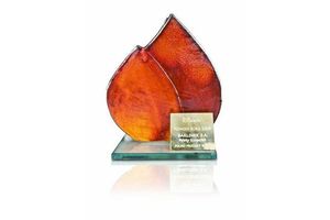 Płomień Roku dla Darco