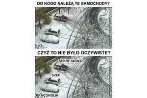 Do kogo należą te samochody?