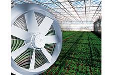 Technologia wentylacji szklarni