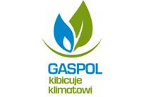 Czy polskie gminy stać na ekologię?