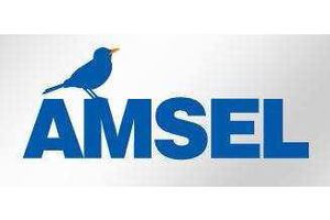 AMSEL zaprasza na szkolenie