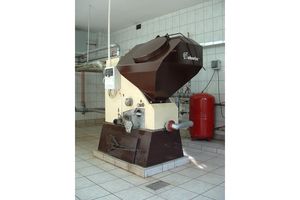 Jak zwyciężyć z zimnem?