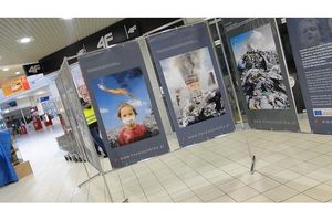 Kwiaty zamiast śmieci