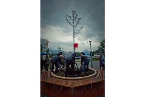 "Prezent dla Ziemi” – II edycja akcji - Wilo Polska i fundacji Nasza Ziemia