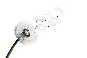 Klimatyzacja: prawdy i mity