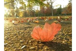 W piątek początek astronomicznej jesieni
