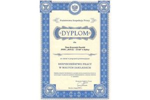 Dyplom Państwowej Inspekcji Pracy dla Royal-Star