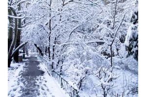 W czwartek 22.12 początek astronomicznej zimy