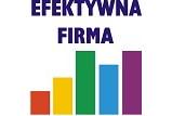 Efektywne Firmy 2010 Branży Handlowej