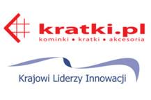Kratki.pl Regionalnym Liderem Innowacji i Rozwoju 2011