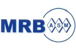 Monitoring Rynku Budowlanego 2012