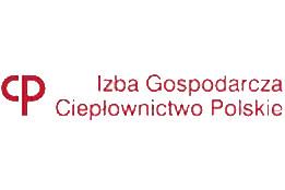 Ciepłownictwo 2011 - raport IGCP