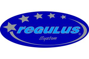 Nowości grzewcze REGULUS®-system – typoszeregi „E” VENT  i SOLLARIUS DUBEL