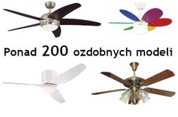 DAXTON POLAND- zdjęcie firmy