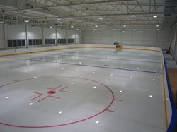 Elcat- zdjęcie firmy