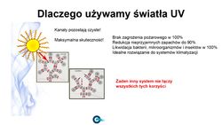 Purventus- zdjęcie firmy