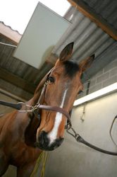 SFERA - zdjęcie firmy